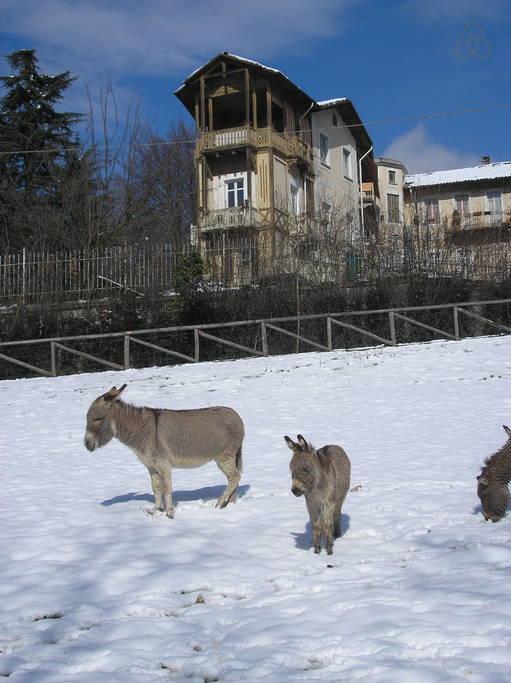 Del Nobile Apartment Turin Exterior foto